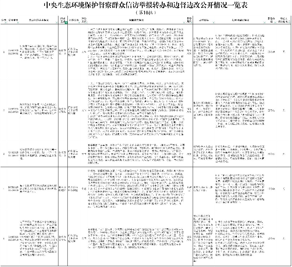 河北省第10边督边改公开一览表（衡水）_第八批.jpg